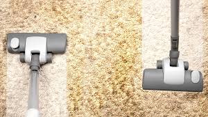Image result for Carpet Cleaning Brisbane