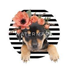 Hier haben wir für sie einige dieser momente zusammengefasst.viel spaßin diesem kanal. Susse Tiere Hund Rottweiler Rottie Haustier Hunde Mousepad Spreadshirt