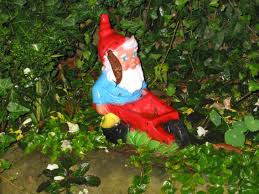 Gartenzwerge Arbeiten Nicht So Schnell Gell Aber Der Gartenzwerg Fahrt So Langsam Mit Der Schubkarre Dass Sogar Die Schnecke Ih Gartenzwerg Zwerg Schubkarre