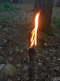 Soak the pine cones in the solution for. Made My First Torch Made With Pine Cone And Some Sap Any Feedback Thoughts Bushcraft
