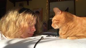 We did not find results for: Light Brown Aesthetic On Tumblr