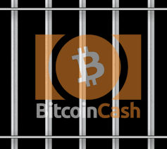 Illegal insider trading is trading based on nonpublic information and may include tipping such information. Insider Trading Of Bitcoin Cash The Coinbase Allegations Explained Planet Compliance