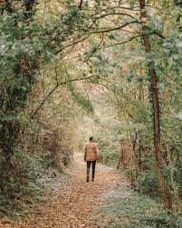 truffle hunting in Istria