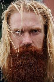 Portrait Of Handsome Nordic Man Portrait Of Serious Middle Aged Man With Long Blond Hair Red Beard And Moustache Looki Beard Illustration 100 Faces Red Beard