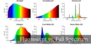 How Fluorescent Light Kills Your Vision Endmyopia Org Led Grow Lights Led Lights Led Light Bulbs