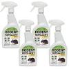 I answer these questions and more about home pest control. Https Encrypted Tbn0 Gstatic Com Images Q Tbn And9gcsjttauocokqb7oq1rnj9n0lu08hktemdujuybqqeetrbdbxfii Usqp Cau