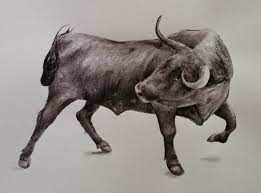 We did not find results for: Realistic Bull Face Drawing Novocom Top
