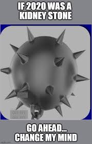 2020 S Kidney Stone Imgflip