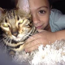 cameron,gage,marquez (@cameronmarquez6)