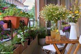 Nicht nur gärten mit üppigen beeten oder großflächige obstbaumweiden bieten geeignete nahrung für bienen und co. Bienenfreundliche Blumen Fur Deinen Balkon