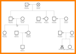 10 Genogram Templates Free Reptile Shop Birmingham