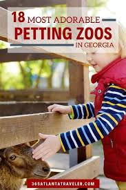 16 Adorable Petting Zoos In Georgia A Few May Surprise You In 2020 Zoo Animals Zoo Near Me Pets