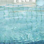 Aquatica Swimming Pool Solutions from www.aquaticapools.com