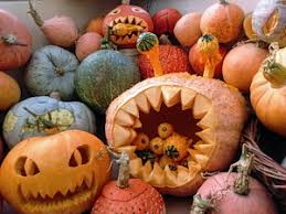 pumpkin and winter squash seeds to buy in the uk from the