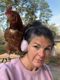 Ideas for identifying non-laying chickens in a flock