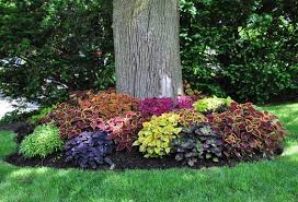 Its not difficult, a moral decision, or submission to the ruthless empire of al gore. Building A Flower Beds Around A Tree Can Add A Beautiful And Neat Appearance To Your Landscaping Thi Landscaping Around Trees Shade Plants Outdoor Landscaping