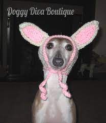 Dog Hat Bunny Ears Rabbit Easter Hat Or Bonnet For Dog Or Cat Photo Prop In White And Pink 22 50 Via Etsy Dog Hat Crochet Dog Easter Hats