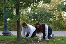Horticulture Volunteer Day — Minnetrista