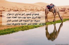 شعر نبطي قصيد ابيات قوافي عشق قافية غزل مدح كلمات خواطر بو ح Quotes