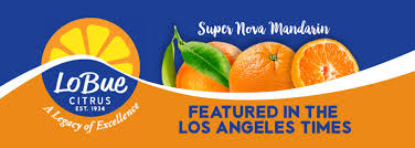 Cepa criada pelo instituto de viticultura de chisinau na moldávia, cruzando pbeda com kishmish. Los Angeles Times Features Lobue Citrus Super Nova Mandarin Anuk Mobile