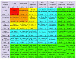 Kinship Chart Sugar Glider Genetics