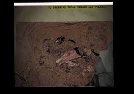 Namun, hari ini menandakan kehadiran semula beliau ke dewan rakyat dan wakil rakyat yang lantang itu menyifatkan. Aku Tak Akan Mati Mona Fandey Dihidupkan Kembali Dalam Dukun The Reporter