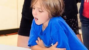 Oswego County TodayOliver Takes The Stage At CNY Arts Center