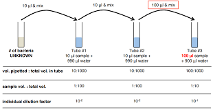 For example, suppose the plate of the 10^4 dilution yielded a count of 123 colonies. Lab 9 Standard Plate Count Biology Libretexts