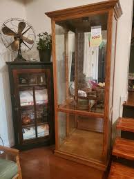 A modern twist on the beloved curio cabinet. Diy Indoor Greenhouse Cabinet From An Old Display Cabinet Refresh Living