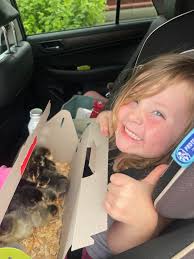 Not a cookie pic but this was too cute not to share 🤣🤣🤣  #futurecrazychickenlady