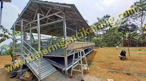 Kandang kambing domba bisa terbuat dari bahan kayu, bambu, besi maupun baja ringan, tidak ada bahan yang paling bagus, adanya adalah versi ringkasan kandang kambing domba yang ideal adalah : Kandang Domba Dari Baja Ringan Baja Ringan Cikarang