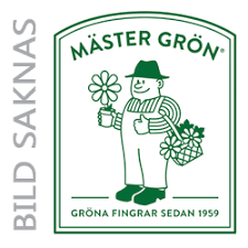 Image result for Grona ramosissima