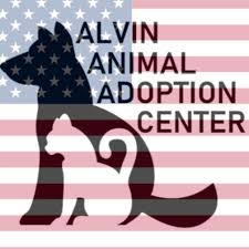 Maybe you would like to learn more about one of these? Bay Area Pet Adoptions Spca Home Facebook
