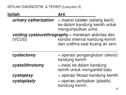 Pilih salah satu jawaban yang paling tepat dengan memberi tanda silang x pada lembar jawaban yang telah disediakan. Contoh Soal Infeksi Saluran Kemih