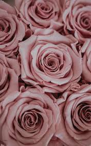 壁紙 oboinatelefon oboidlyatelefona 海の海の水 sea ocean water 花 flowers wallpaper space phone wallpaper gold wallpaper background rose gold wallpaper