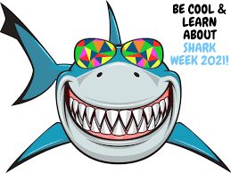 Sharks, sharks in water and the thought of water containing sharks. Pin On Shark Week 2021