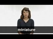 English Translation of “MINIATURE” | Collins French-English Dictionary