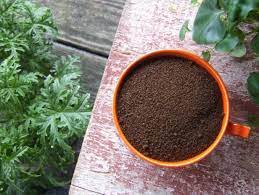 When using coffee grounds as fertilizer, you can reap in the following primary benefits: Using Coffee Grounds In The Garden Hgtv
