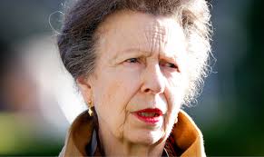 Royal Family issues Princess Anne statement amid ongoing chaos