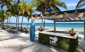 Being a privileged guest also means. Hotel Catalonia Royal Tulum Adults Only Catalonia Hotels Resorts