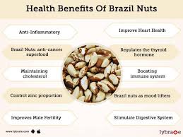 Farmers grow rootstock from seeds germinated by putting them in wet sand, and after 20 days, they put the seedlings in plastic cups or bags, then transplant them in the field. Benefits Of Brazil Nuts And Its Side Effects Lybrate