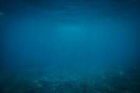 Ce sont des endroits où les fonds marins sont moins profonds, comme dans le nord de l'atlantique et à l'est de l'afrique, et où il y a plus de brassage entre les eaux de surface et celles des profondeurs, normalement séparées par des barrières de température. Zone Hadale L Endroit Le Plus Profond De L Ocean Ca M Interesse