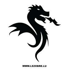 It is best known for the professional football team playing in the primeira liga, the top flight of portuguese football. T Shirt Fc Porto Drache