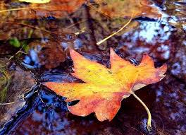 Robert A. “Bob” Stump