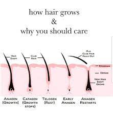How long should my hair be to get a wax? Love This Picture I Try To Teach The Stages Of Hair Growth Because It Really Affects Your Waxing Schedule This Is The Hair Growth Stages Waxing Salon Waxing