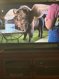 Anyone else hate these stupid Buffalo Wild Wings commercials? :  rCommercialsIHate