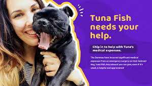 Fundraiser by Gunter Voelker : Save Tuna Fish