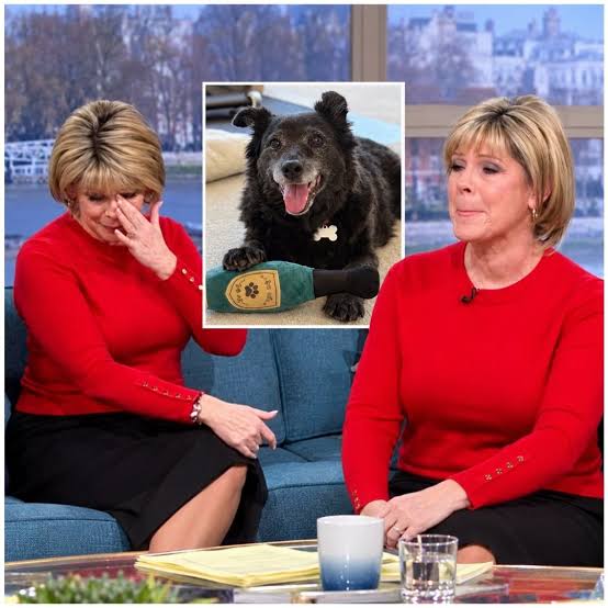 After 15 years of unconditional love, Ruth Langsford has shared the goodbye she once struggled to imagine. 💔 Her beloved rescue dog Maggie has died aged 16, with Ruth revealing her final moments were