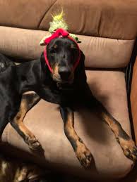 I don't want this to be deleted, so I'm going to do my level best to be  nice. . .well, to be civil. I have reported this person for other posts she