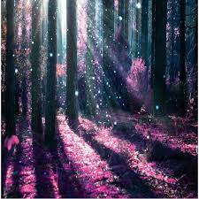 We did not find results for: Beibehang Custom Wallpaper Modern Fashion Aesthetic Purple Forest Trees Tv Background Wallpaper Tv Background Wallpaper Custom Wallpaperbackground Wallpaper Aliexpress
